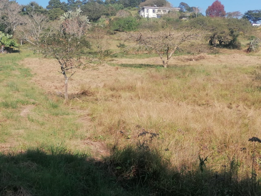 Commercial Property for Sale in Drummond KwaZulu-Natal