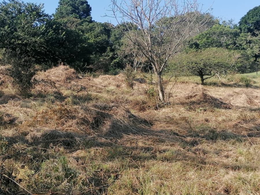 Commercial Property for Sale in Drummond KwaZulu-Natal