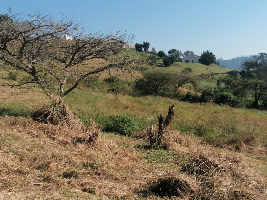 Commercial Property for Sale in Drummond KwaZulu-Natal