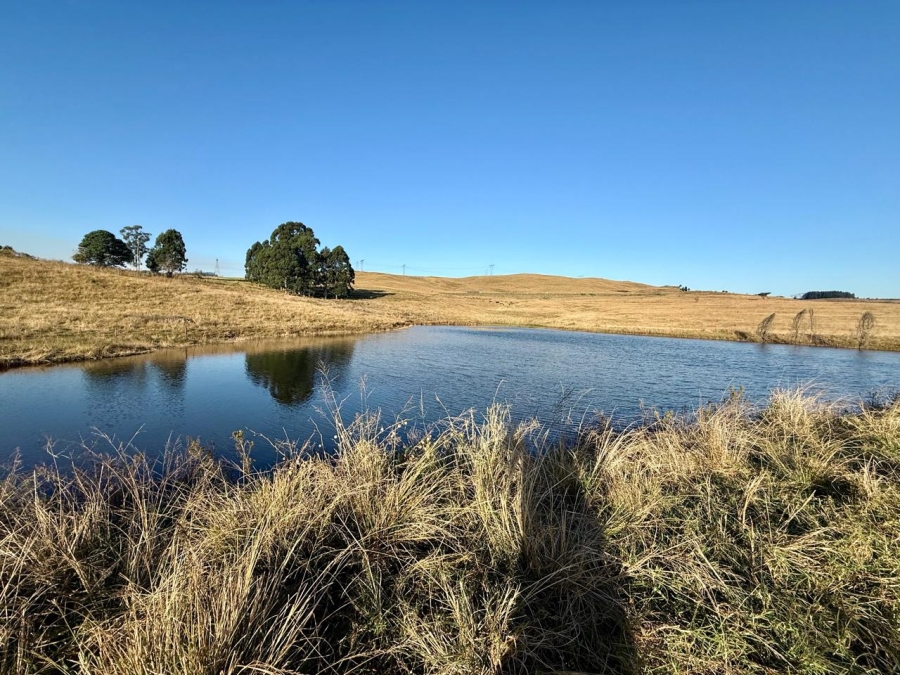 10 Bedroom Property for Sale in Lions River KwaZulu-Natal