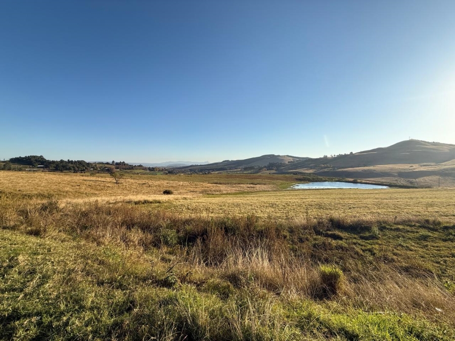 10 Bedroom Property for Sale in Lions River KwaZulu-Natal