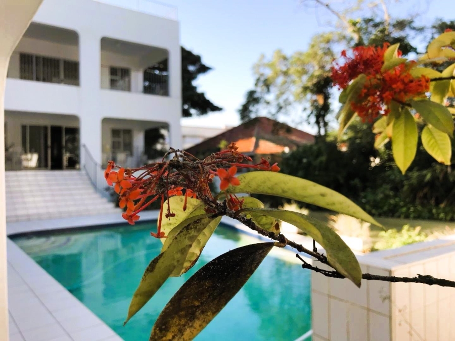 To Let 2 Bedroom Property for Rent in Glenwood KwaZulu-Natal