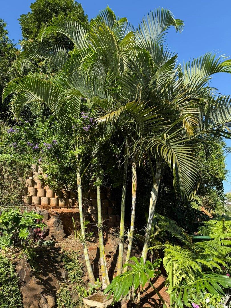2 Bedroom Property for Sale in Umhlanga KwaZulu-Natal
