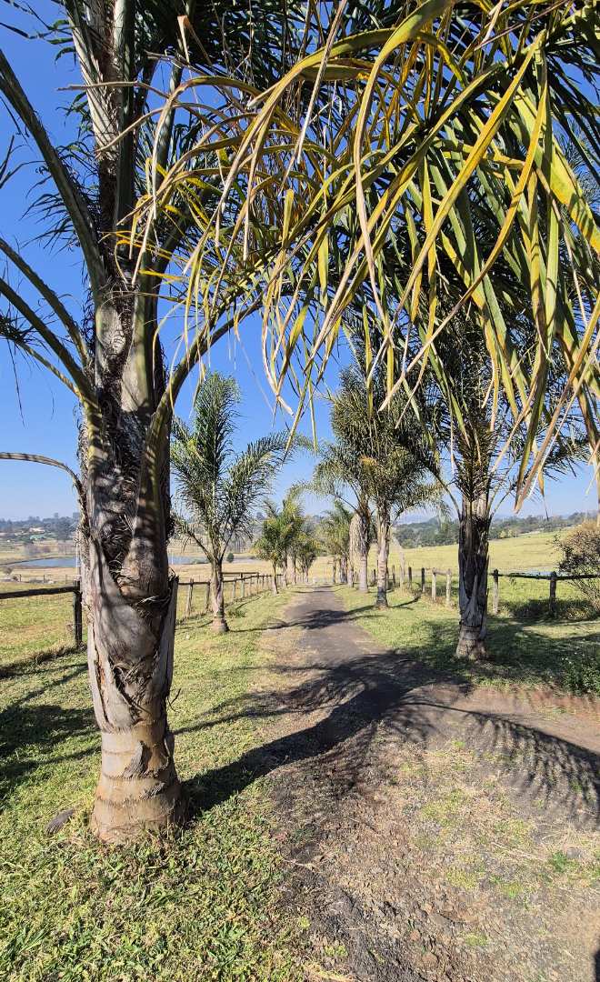 3 Bedroom Property for Sale in Merrivale Heights KwaZulu-Natal