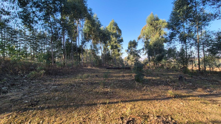 0 Bedroom Property for Sale in Howick Rural KwaZulu-Natal