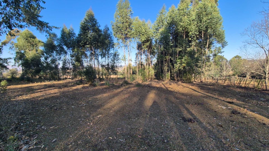 0 Bedroom Property for Sale in Howick Rural KwaZulu-Natal