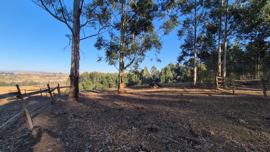 0 Bedroom Property for Sale in Howick Rural KwaZulu-Natal