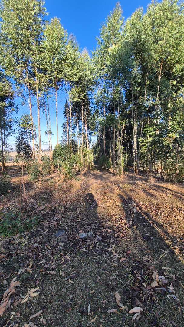 0 Bedroom Property for Sale in Howick Rural KwaZulu-Natal