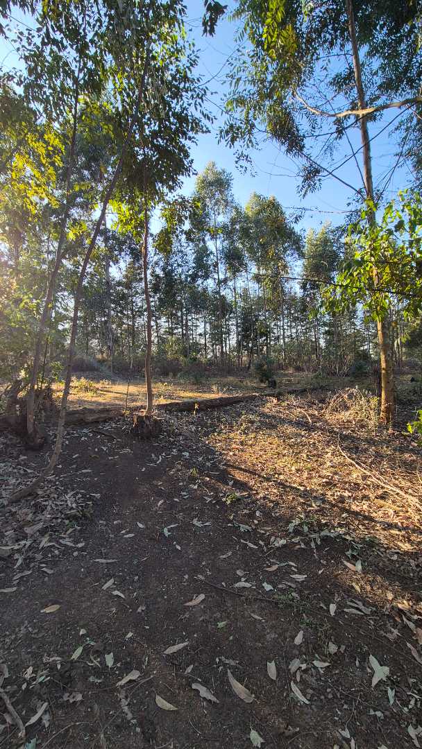 0 Bedroom Property for Sale in Howick Rural KwaZulu-Natal