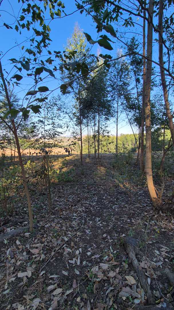 0 Bedroom Property for Sale in Howick Rural KwaZulu-Natal