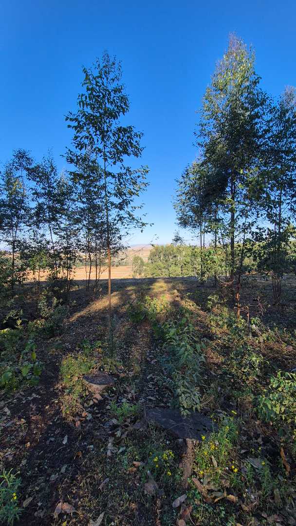 0 Bedroom Property for Sale in Howick Rural KwaZulu-Natal