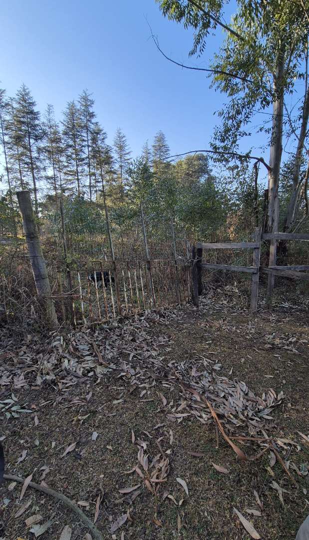 0 Bedroom Property for Sale in Howick Rural KwaZulu-Natal