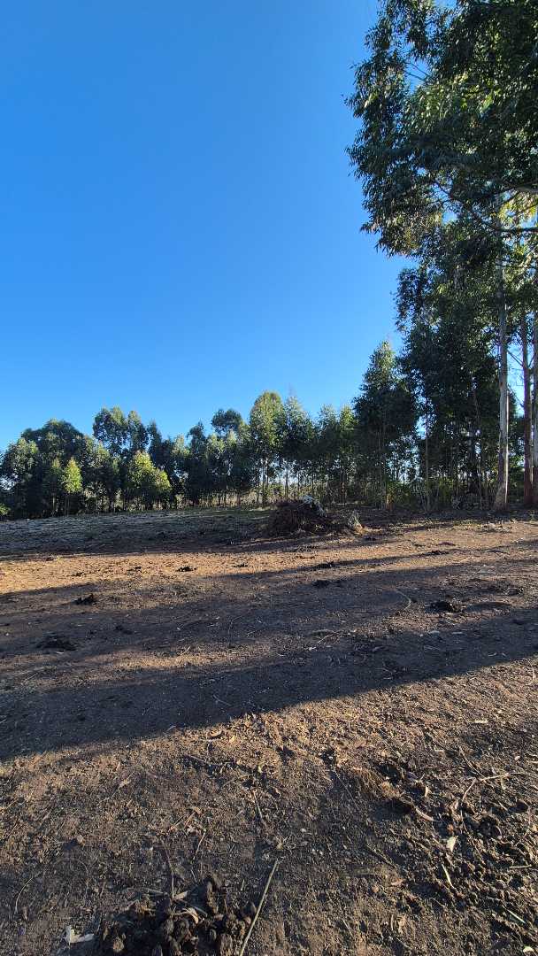0 Bedroom Property for Sale in Howick Rural KwaZulu-Natal