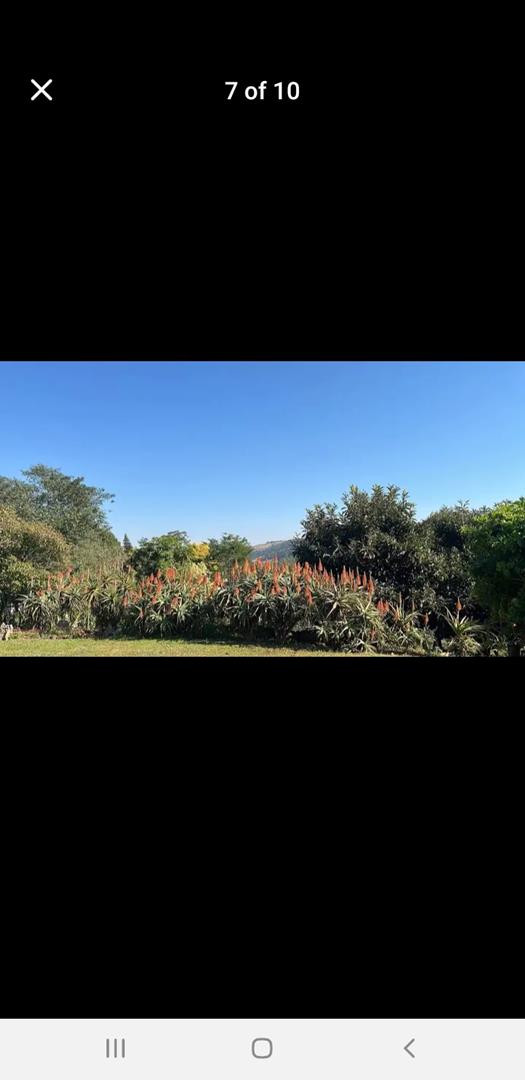 To Let 2 Bedroom Property for Rent in Drummond KwaZulu-Natal