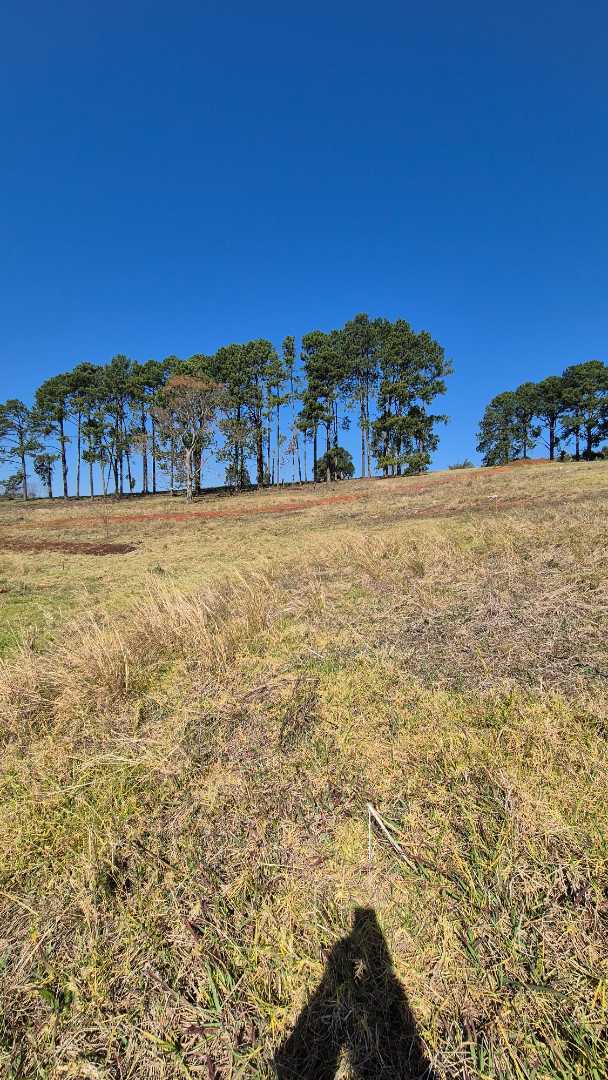 0 Bedroom Property for Sale in Howick North KwaZulu-Natal