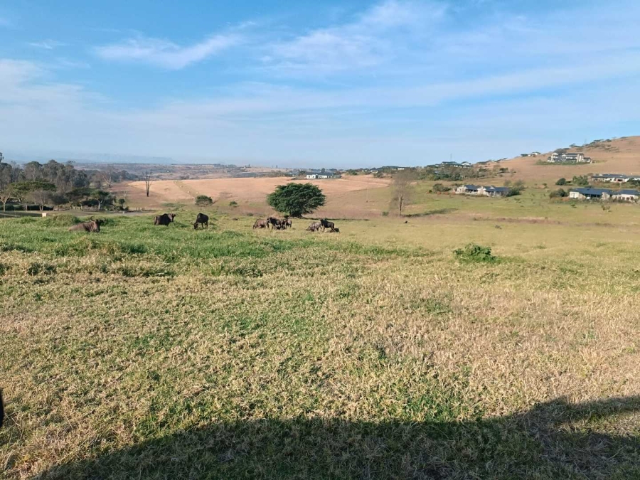 0 Bedroom Property for Sale in Bisley KwaZulu-Natal