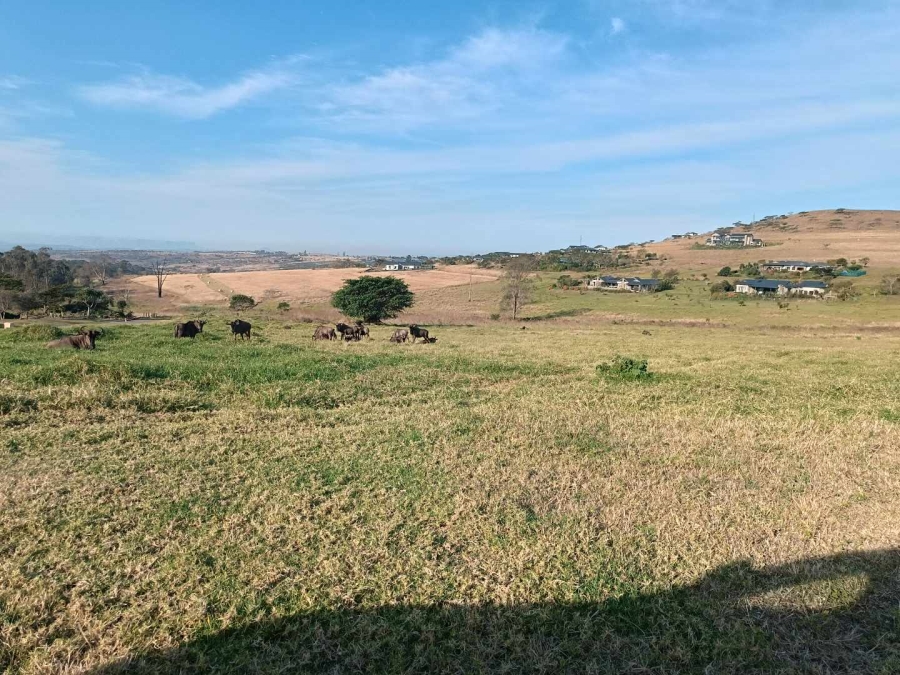 0 Bedroom Property for Sale in Bisley KwaZulu-Natal