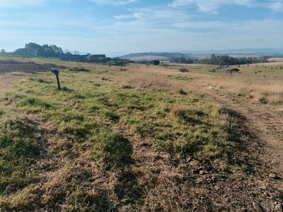 0 Bedroom Property for Sale in Bisley KwaZulu-Natal
