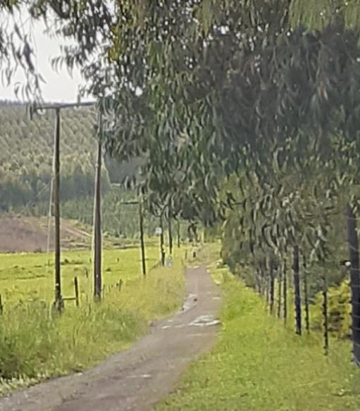 3 Bedroom Property for Sale in Lidgetton KwaZulu-Natal