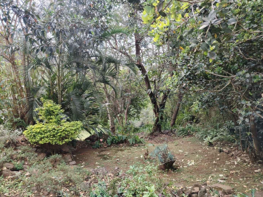 To Let 1 Bedroom Property for Rent in Gillitts KwaZulu-Natal