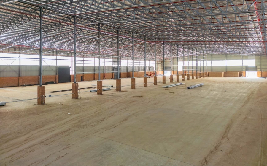 To Let commercial Property for Rent in Umgeni Park KwaZulu-Natal