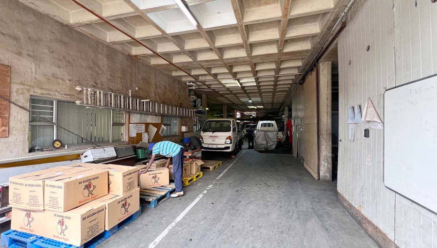 Commercial Property for Sale in Red Hill KwaZulu-Natal
