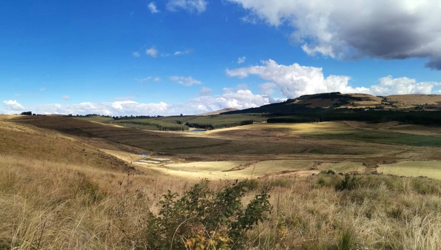 10 Bedroom Property for Sale in Donnybrook KwaZulu-Natal