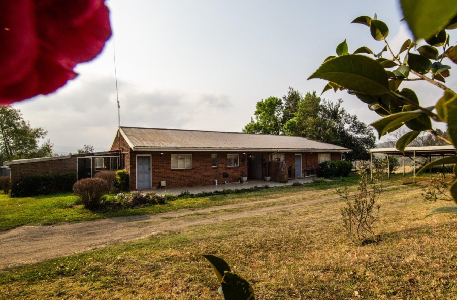 10 Bedroom Property for Sale in Donnybrook KwaZulu-Natal