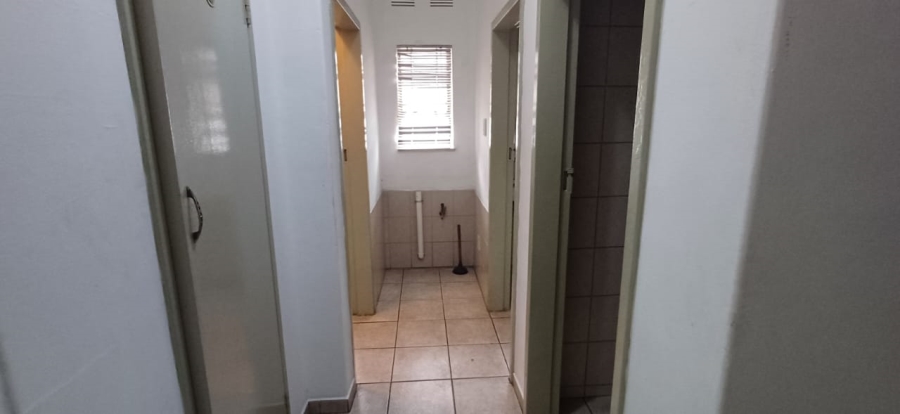 To Let 3 Bedroom Property for Rent in Arboretum KwaZulu-Natal