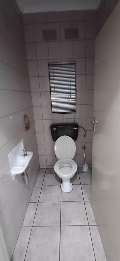 To Let 3 Bedroom Property for Rent in Arboretum KwaZulu-Natal