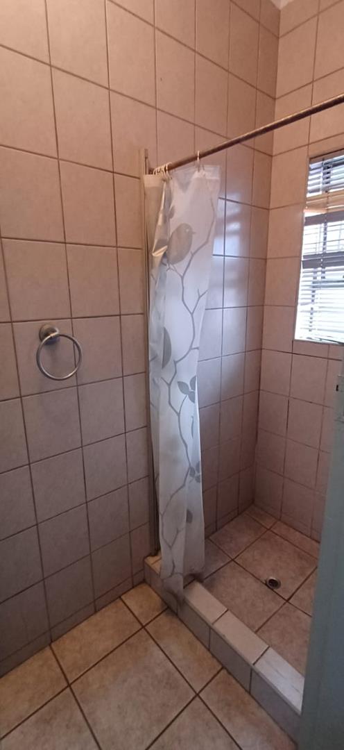 To Let 3 Bedroom Property for Rent in Arboretum KwaZulu-Natal