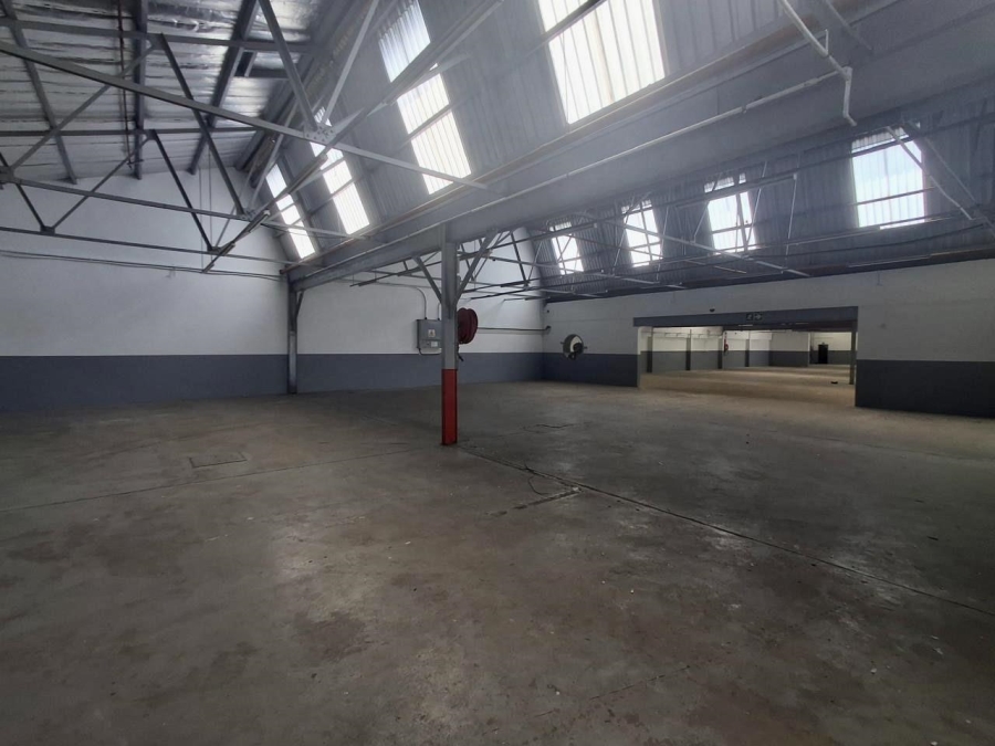 Commercial Property for Sale in Umbilo KwaZulu-Natal