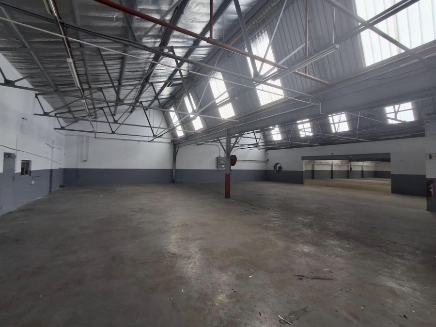 Commercial Property for Sale in Umbilo KwaZulu-Natal
