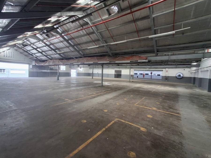 Commercial Property for Sale in Umbilo KwaZulu-Natal