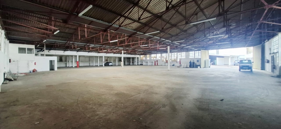 To Let commercial Property for Rent in Glenwood KwaZulu-Natal