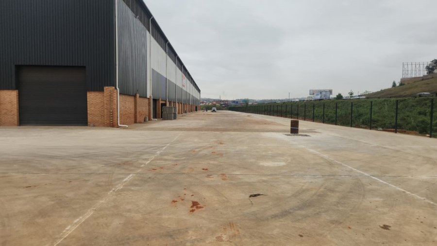 To Let commercial Property for Rent in Springfield KwaZulu-Natal