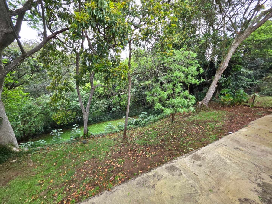 To Let 4 Bedroom Property for Rent in Gillitts KwaZulu-Natal