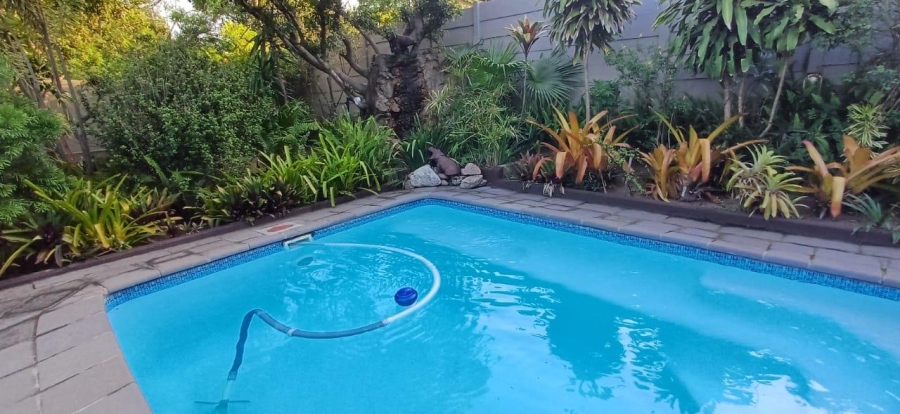 To Let 4 Bedroom Property for Rent in Arboretum KwaZulu-Natal