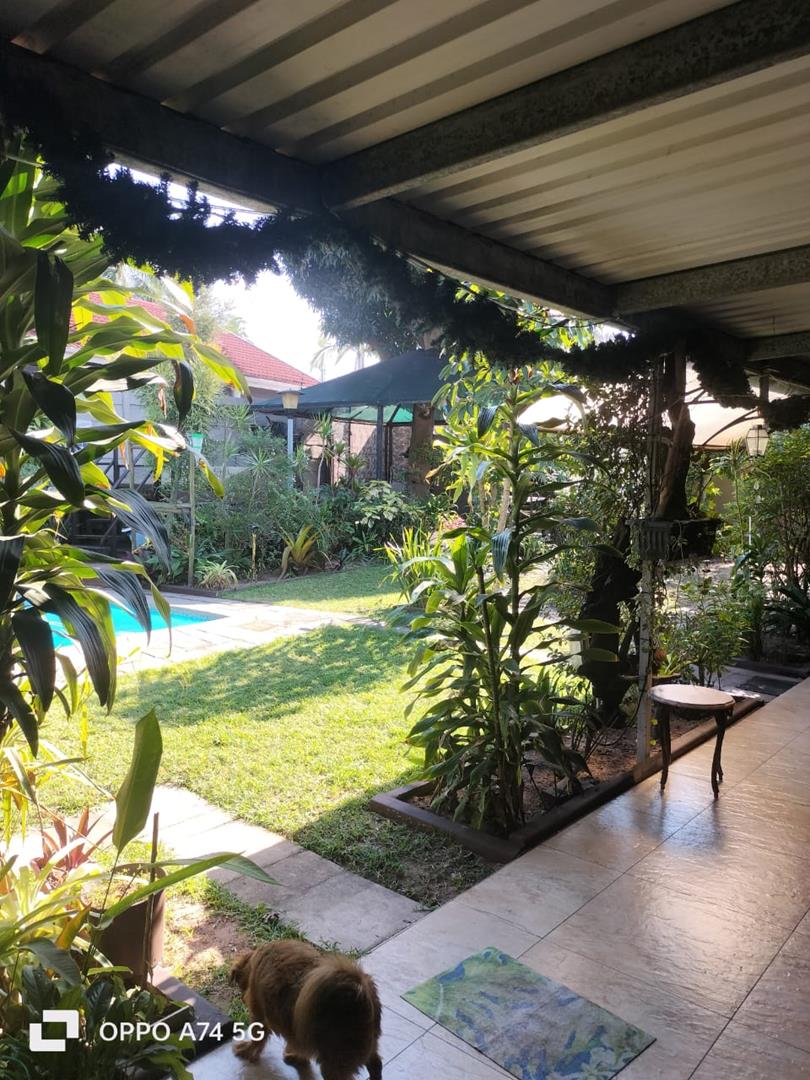 To Let 4 Bedroom Property for Rent in Arboretum KwaZulu-Natal