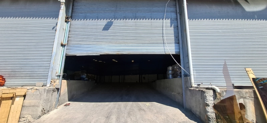 To Let commercial Property for Rent in Springfield KwaZulu-Natal