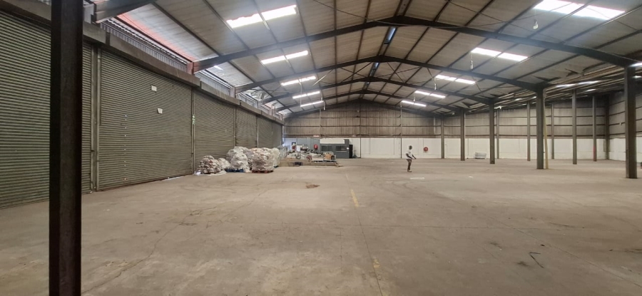 To Let commercial Property for Rent in Springfield KwaZulu-Natal