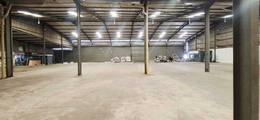 To Let commercial Property for Rent in Springfield KwaZulu-Natal