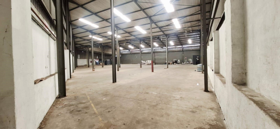To Let commercial Property for Rent in Springfield KwaZulu-Natal