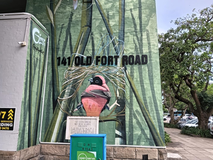 To Let commercial Property for Rent in Durban Central KwaZulu-Natal