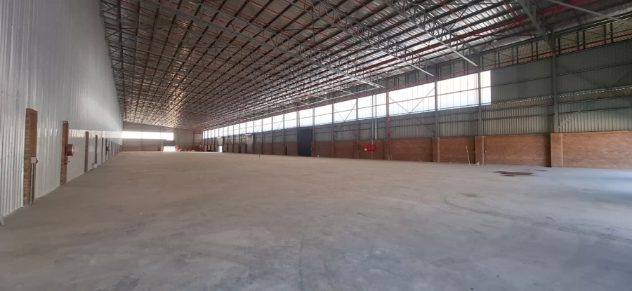 To Let commercial Property for Rent in Springfield KwaZulu-Natal