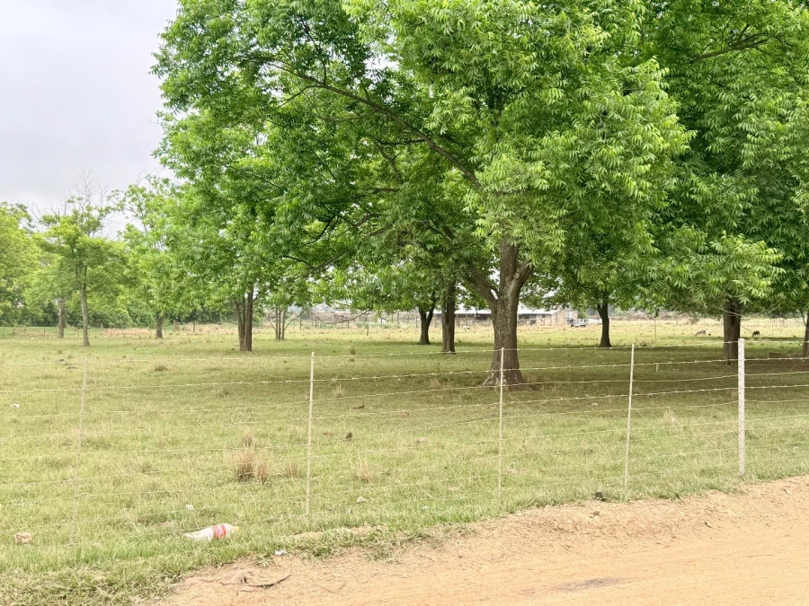 0 Bedroom Property for Sale in Vryheid KwaZulu-Natal