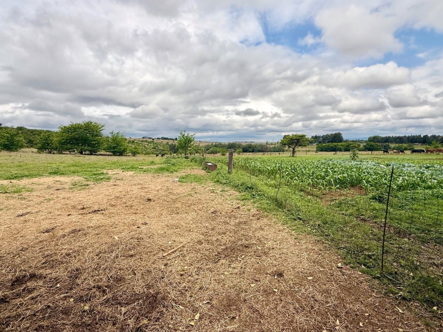 16 Bedroom Property for Sale in Vryheid KwaZulu-Natal