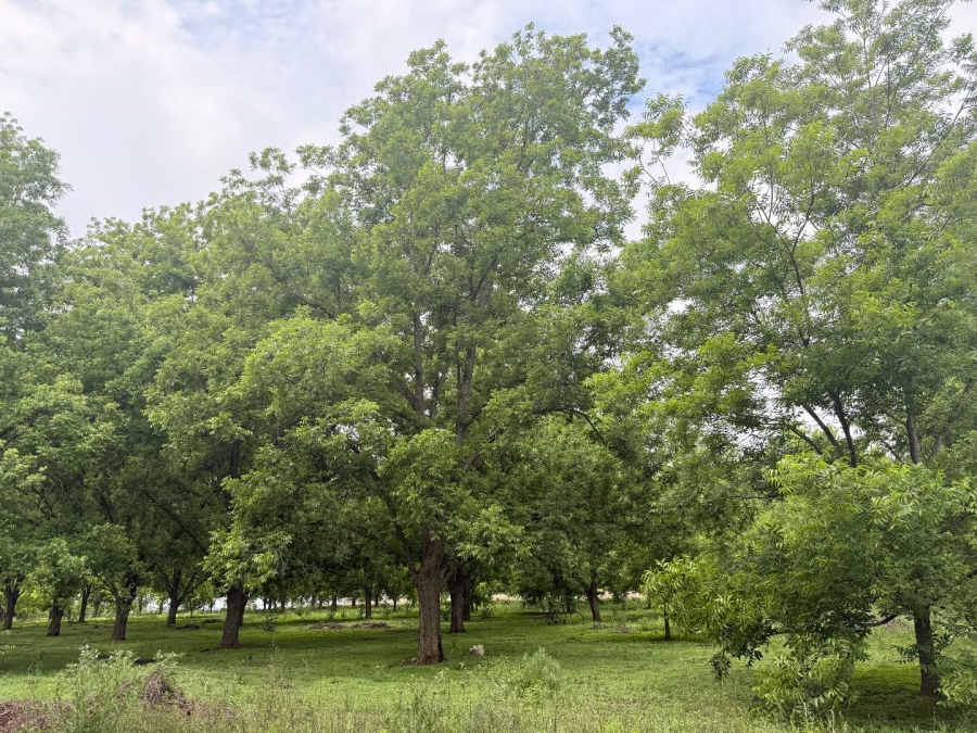 16 Bedroom Property for Sale in Vryheid KwaZulu-Natal