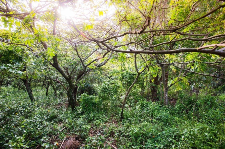 0 Bedroom Property for Sale in Sheffield Beach KwaZulu-Natal