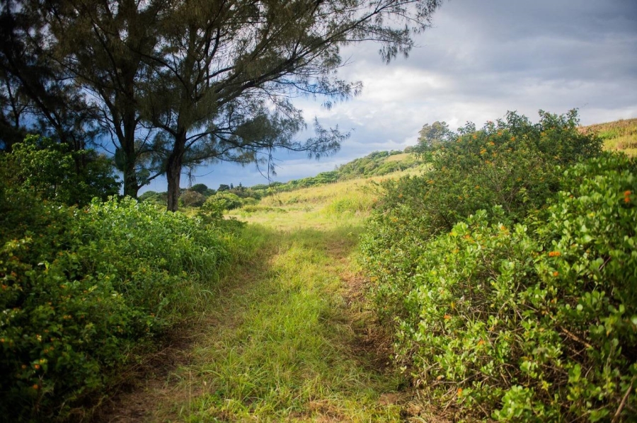 0 Bedroom Property for Sale in Sheffield Beach KwaZulu-Natal